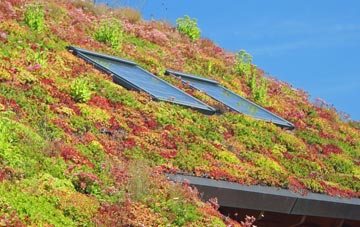 Chapel Fields living roof systems