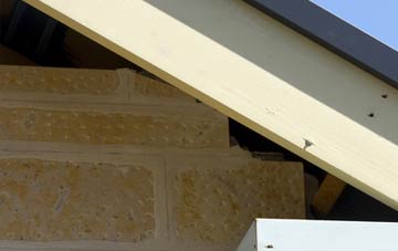 soffit repair Chapel Fields