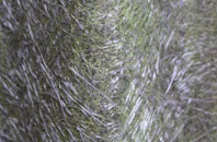 Chapel Fields fibreglass roof work